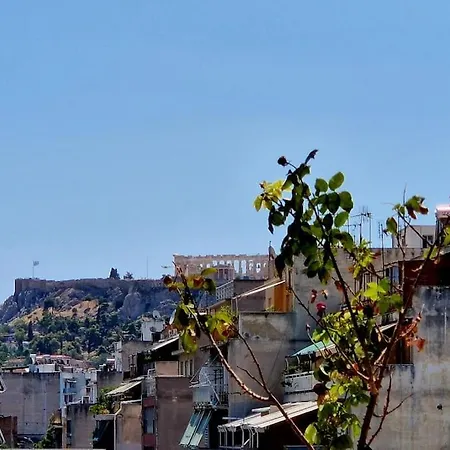 Aphrodite's Nest Apartment